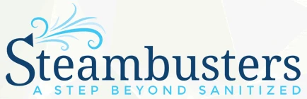 Bed bug removal with steam